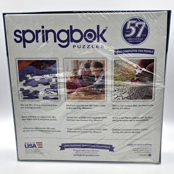 Springbok Groovy Records 1000 Pc Puzzle Doors, Pink Floyd, Hendrix, Led Zeppelin - Picture 2 of 8